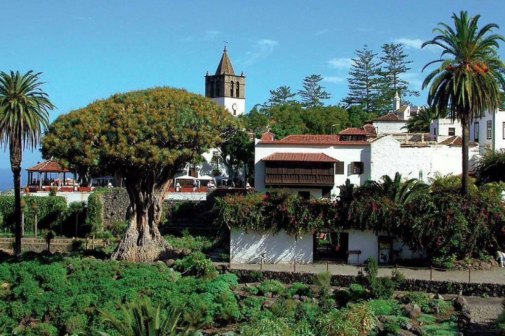 Monis Rooms,Apartment Holidays Green Tenerife Playa San Marcos Icod De Los Vinos Exterior foto